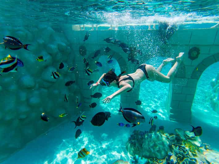 Seapark: Swimming in Pool Aquarium with Authentic Creatures - Atlantis gives the snorkeling a theme