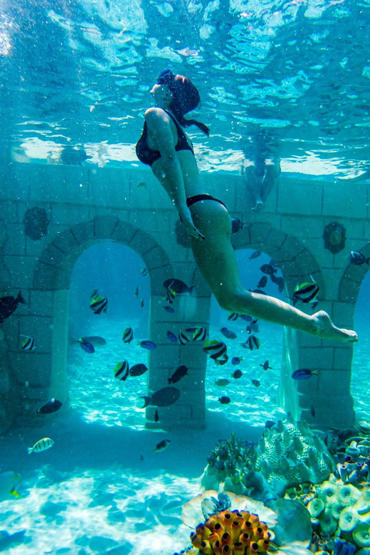 Seapark: Swimming in Pool Aquarium with Authentic Creatures - A 300-meter freshwater river for a slower break