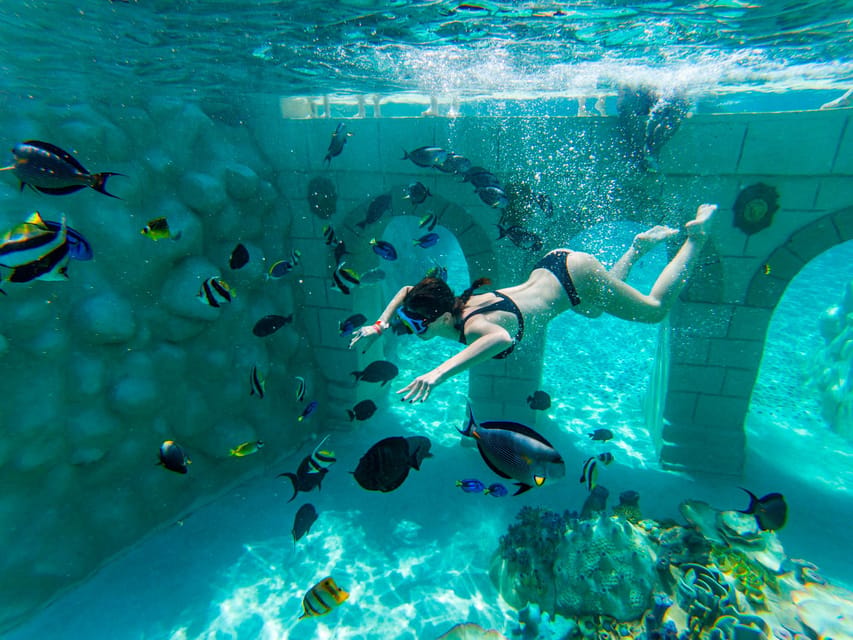 Seapark: Swimming in Pool Aquarium with Authentic Creatures - Sharks, dolphins, and extra-cost activities