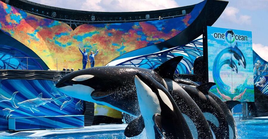 SeaWorld Orlando: Park Admission Ticket - Key points to know before you go