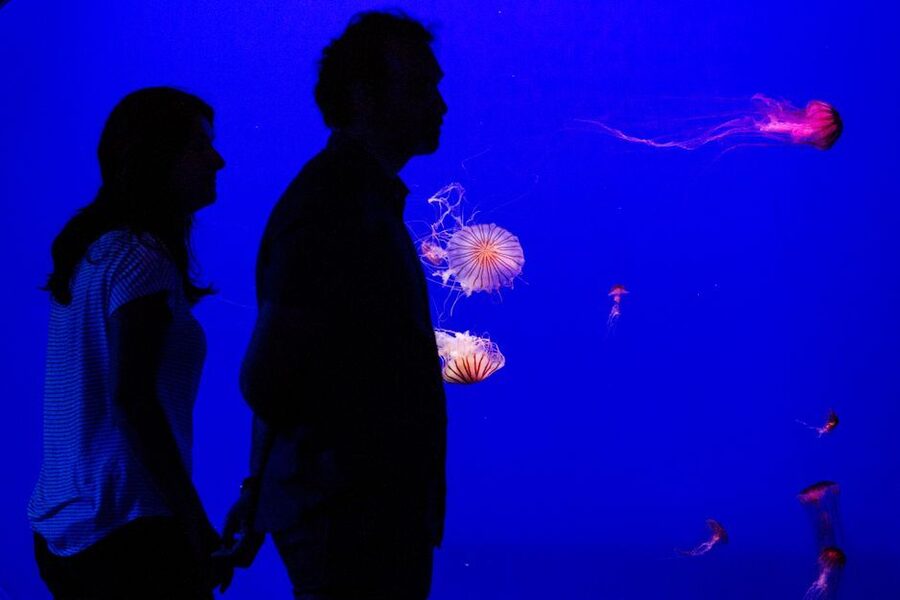 Seville Aquarium Admission Ticket - Who will enjoy this aquarium most