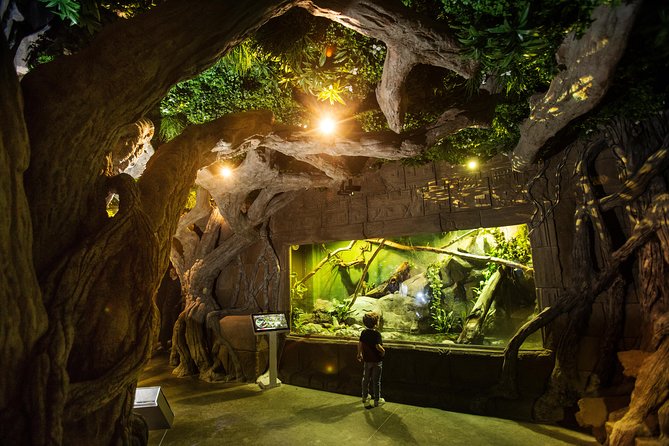 Seville Aquarium Admission Ticket - The Amazon brings frogs, snakes, and axolotls