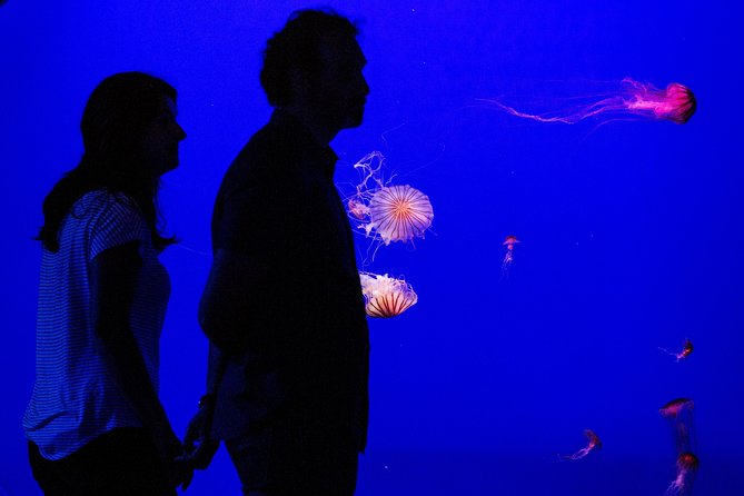 Seville Aquarium Admission Ticket - Starting with the Guadalquivir and Atlantic sections