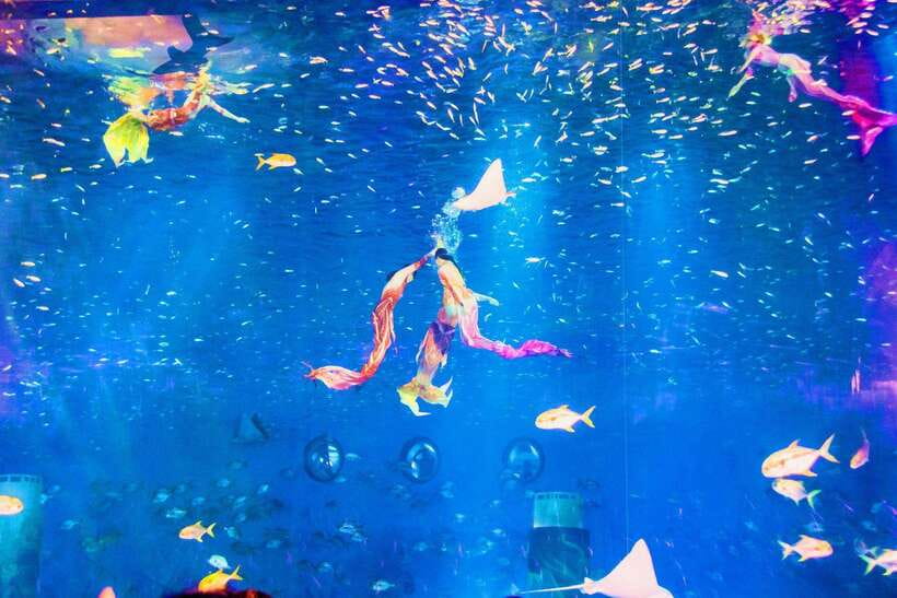 Shanghai: Haichang Ocean Park Adult Ticket - What the $100 ticket really buys