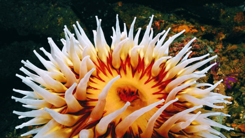 Shanghai: The Marine Wonders at Shanghai Ocean Aquarium - Conservation Exhibits Give the Visit More Weight