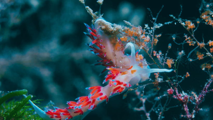 Shanghai: The Marine Wonders at Shanghai Ocean Aquarium - Why Families Find This Easy to Handle