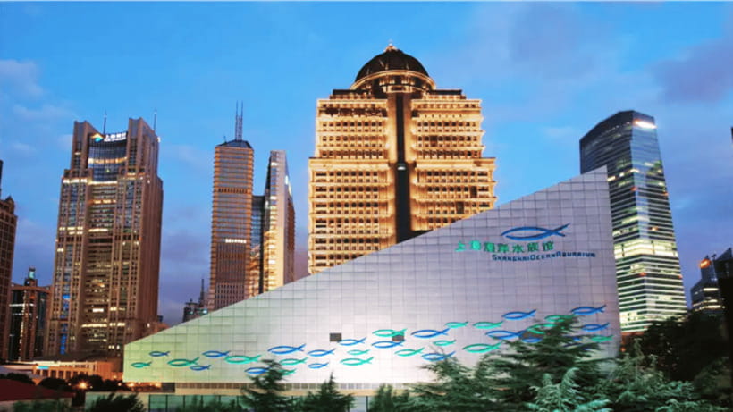 Shanghai: The Marine Wonders at Shanghai Ocean Aquarium - Themed Zones Bring the Ocean Into Focus