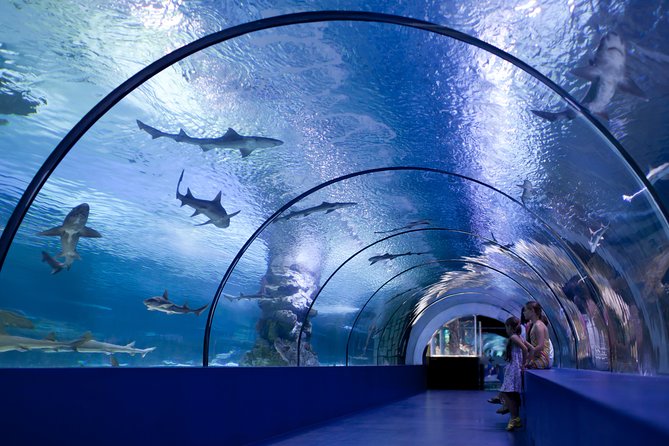 Side: Antalya Aquarium Ticket With Optional Transfer - Face2Face wax museum adds value