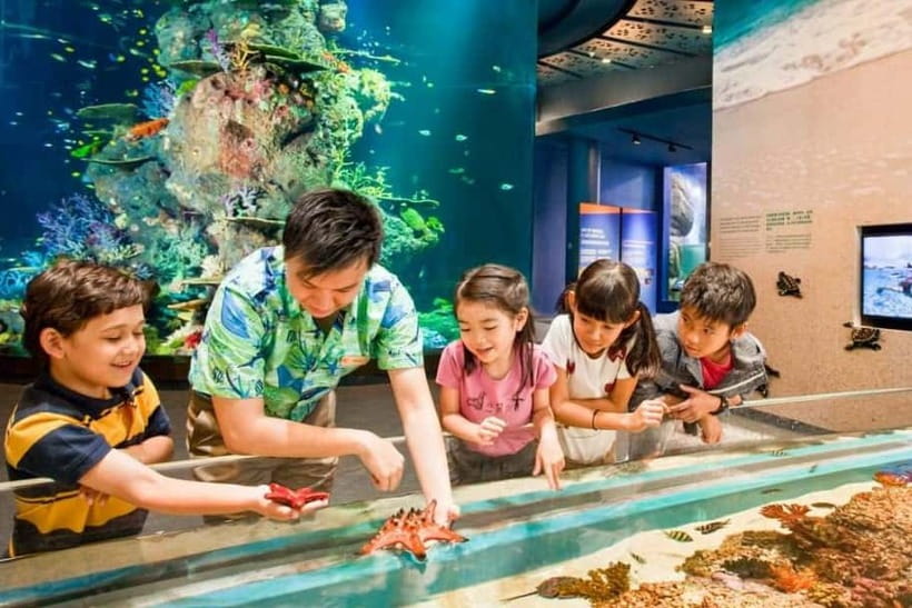 Singapore: Singapore Oceanarium Entrance E-Ticket - Living Oceans Exhibition and the value of slowing down