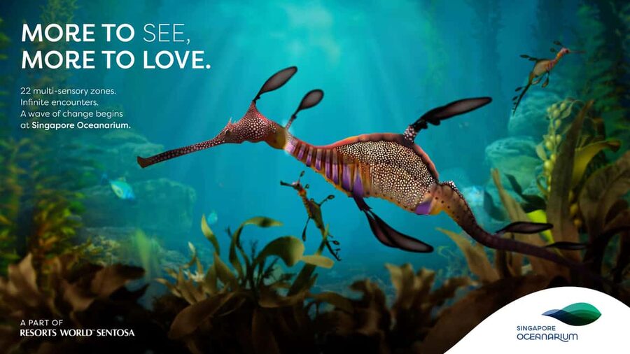 Singapore: Singapore Oceanarium Entrance Ticket - From fossils to life on land