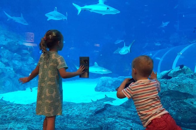 Singapore Universal Studio & S.E.A Aquarium-COMBO One-Day Pass(Shared transfer) - Two Sentosa attractions, one demanding day