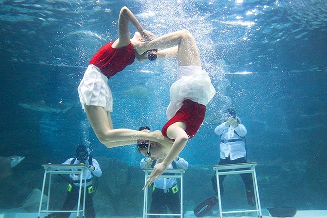 Skip the Line: The Greatest Urban Aquarium COEX Ticket(내국인불가) - Important booking and entry warnings