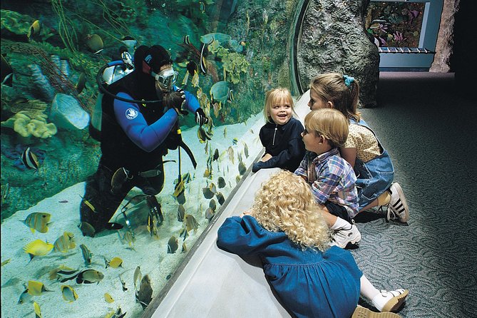 Skip the Ticketing Line: Aquarium of the Pacific General Admission Ticket - A Pacific Ocean Tour Without Leaving Long Beach