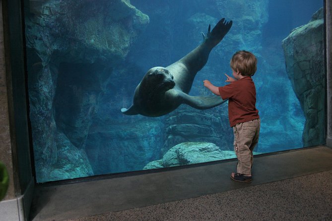 Skip the Ticketing Line: Aquarium of the Pacific General Admission Ticket - How Long To Stay and When To Visit