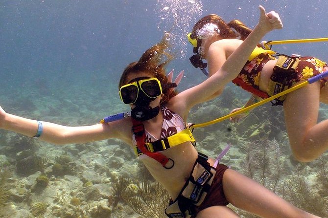Snuba Adventure at Coral World Ocean Park - What Snuba at Coral World actually feels like