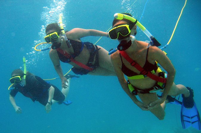 Snuba Adventure at Coral World Ocean Park - Underwater at Coki Beach
