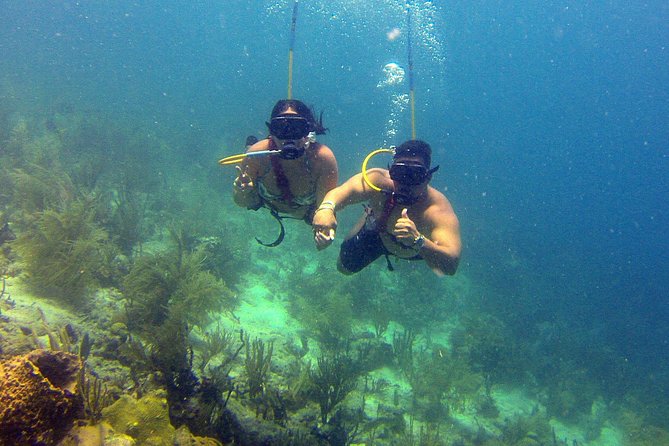 Snuba Adventure at Coral World Ocean Park - Why the four-person limit is worth paying for