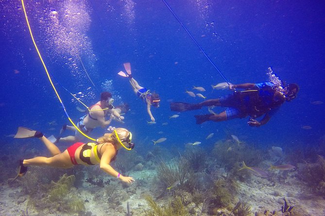 Snuba Adventure at Coral World Ocean Park - What the Coral World ticket adds