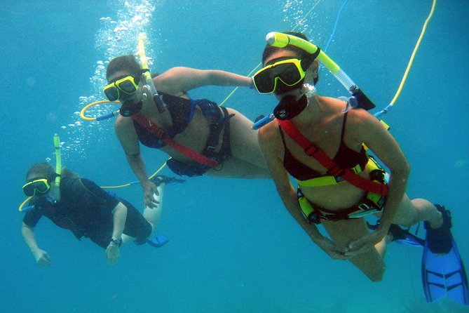 Snuba Adventure at Coral World Ocean Park - Who should choose this underwater tour