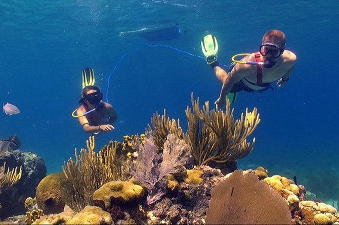 Snuba Adventure at Coral World Ocean Park - The orientation is where beginners gain confidence
