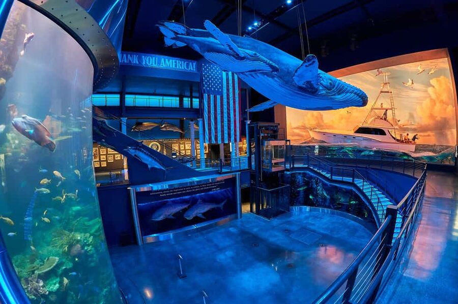 Springfield: Wonders of Wildlife National Museum & Aquarium - From wildlife dioramas to the aquarium