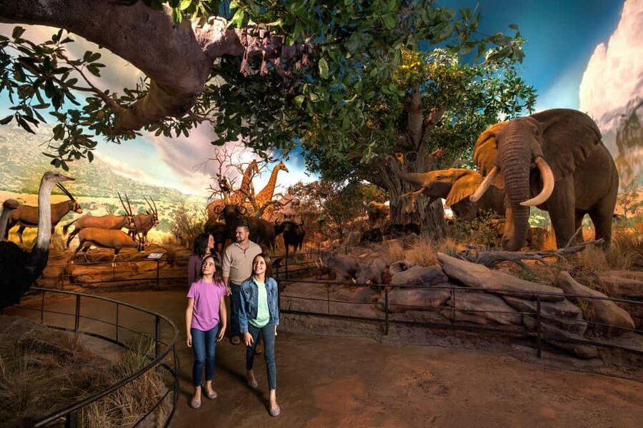 Springfield: Wonders of Wildlife National Museum & Aquarium - Entering the 1.5 million gallon Aquarium Adventure