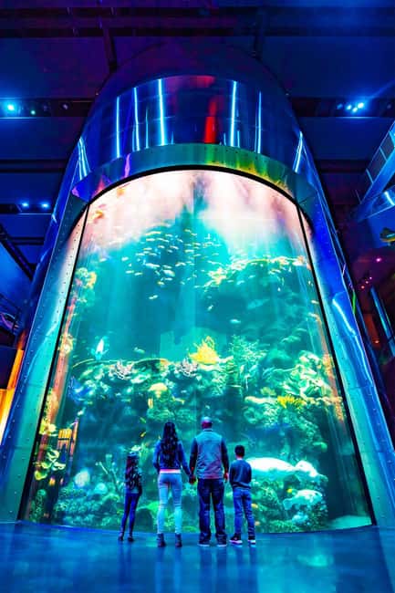 Springfield: Wonders of Wildlife National Museum & Aquarium - Touch pools and presentations for active learning