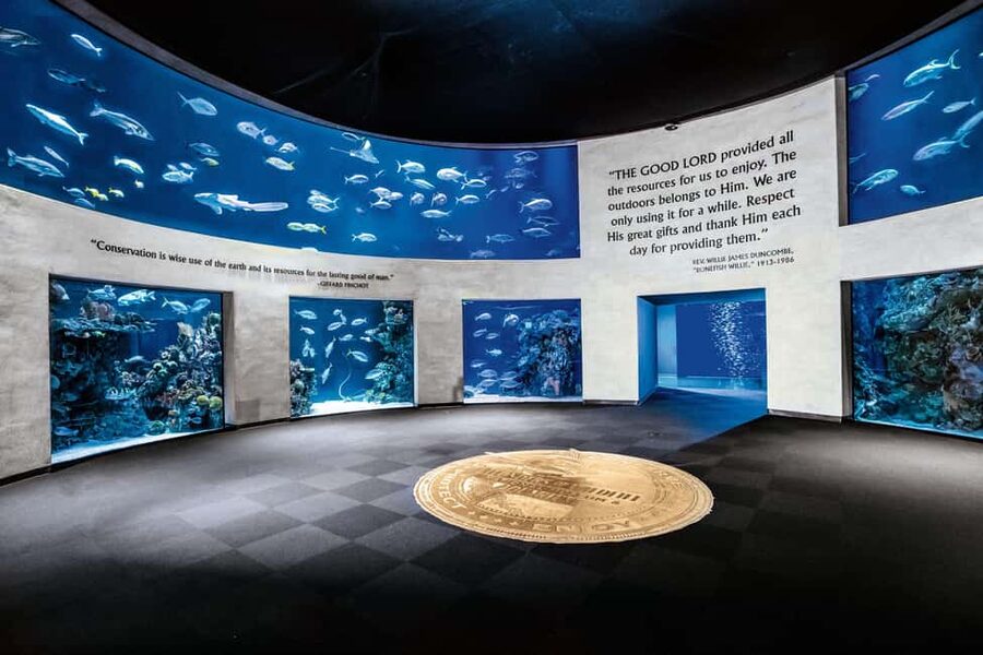 Springfield: Wonders of Wildlife National Museum & Aquarium - The Boone and Crockett collection