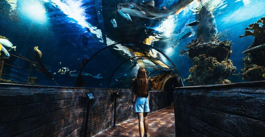 St Paul's Bay: Malta National Aquarium Entry Ticket - Entering the starfish-shaped aquarium