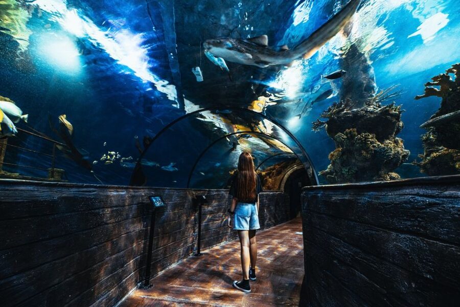 St Paul's Bay: Malta National Aquarium Entry Ticket - Who will enjoy this most?
