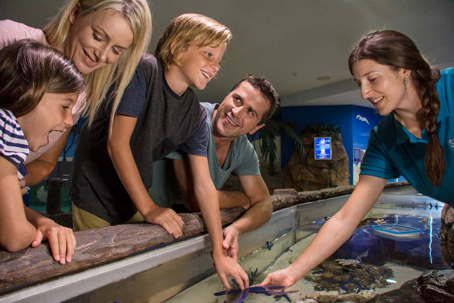 Sunshine Coast: SEA LIFE Sunshine Coast Entry Ticket - What SEA LIFE Sunshine Coast is really like