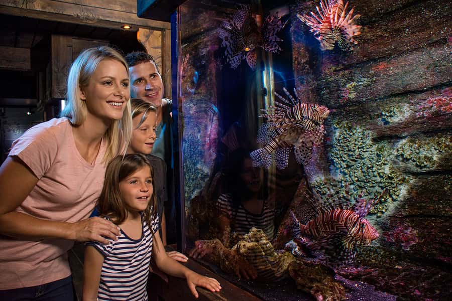 Sunshine Coast: SEA LIFE Sunshine Coast Entry Ticket - Use the Tidal Touchpool carefully
