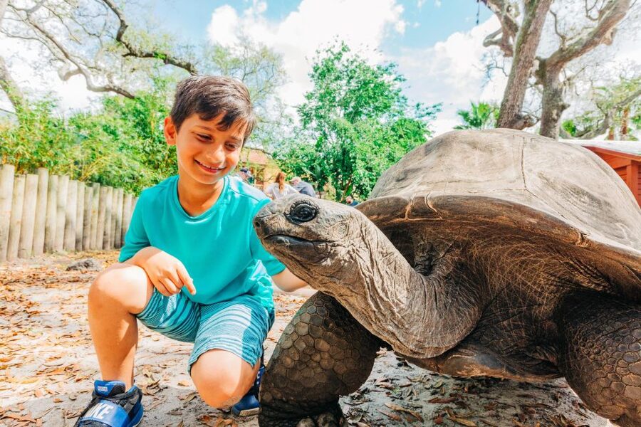 Tampa: ZooQuarium- ZooTampa & Florida Aquarium Combo Ticket - The Florida Aquarium: sea creatures, plants, and hands-on extras