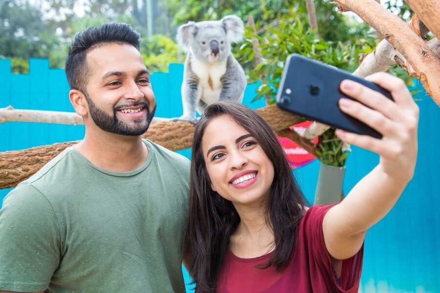 Tampa: ZooQuarium- ZooTampa & Florida Aquarium Combo Ticket - Same day or separate days?
