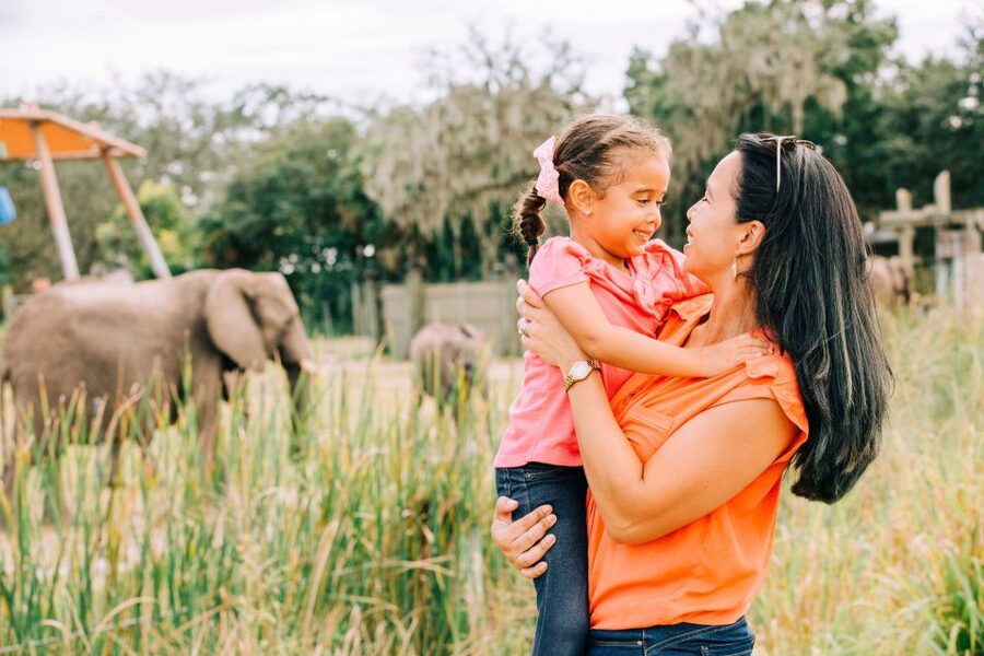 Tampa: ZooQuarium- ZooTampa & Florida Aquarium Combo Ticket - What $90 really gets you