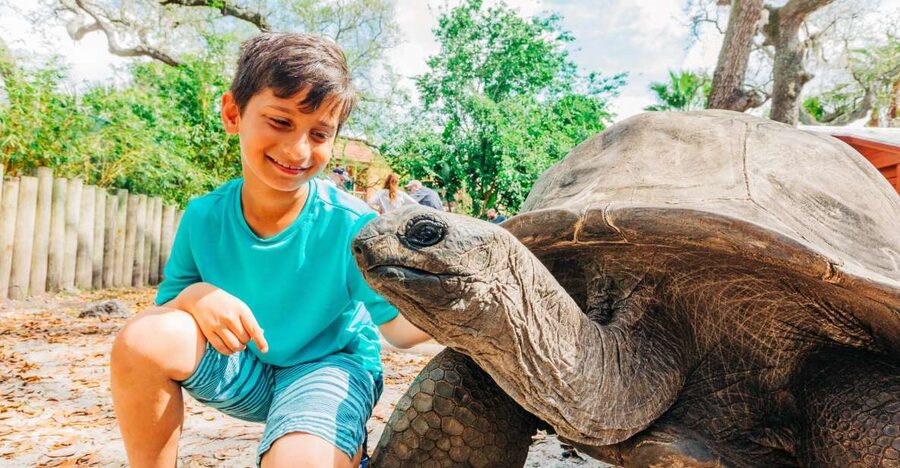 Tampa: ZooQuarium- ZooTampa & Florida Aquarium Combo Ticket - Who will get the most from this ticket?