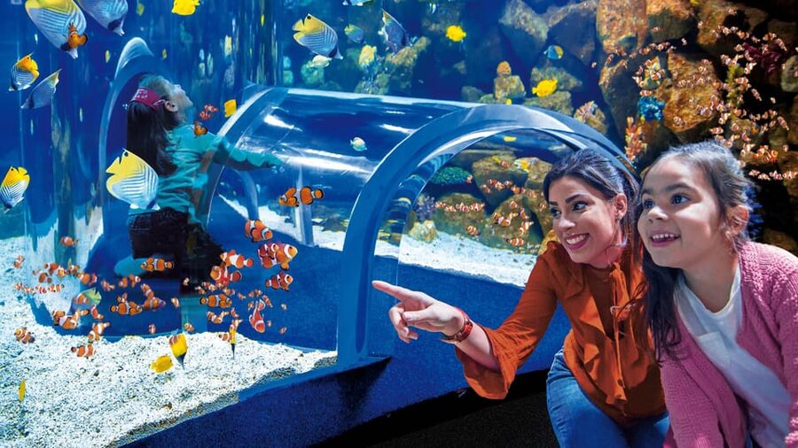 Tenerife: Gran Canaria Full-Day Guided Tour with Aquarium - Final verdict: a busy but worthwhile island sampler