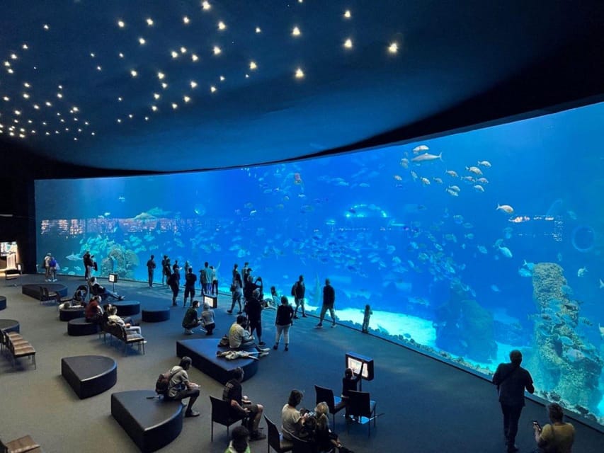 Tenerife: Gran Canaria Full-Day Guided Tour with Aquarium - Walking through the old heart of Vegueta