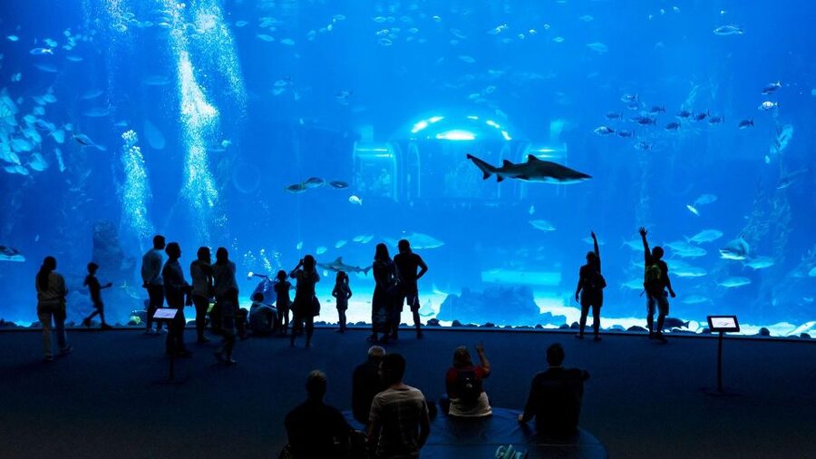 Tenerife: Gran Canaria Full-Day Guided Tour with Aquarium - Is the $138 price fair?