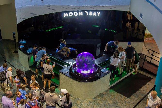 The Florida Aquarium in Tampa General Admission - How long should you plan?
