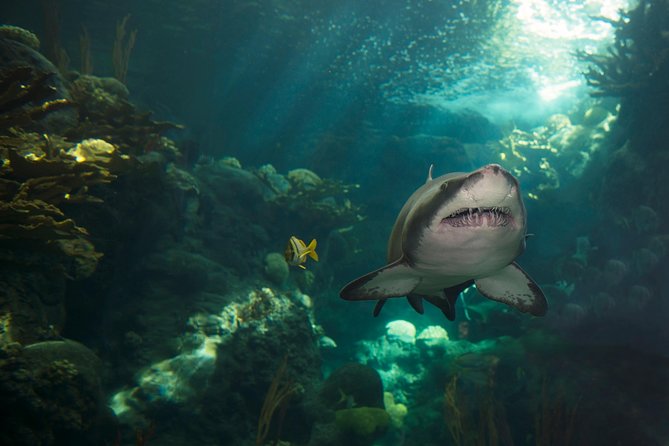 The Florida Aquarium in Tampa General Admission - Is the $42 ticket good value?