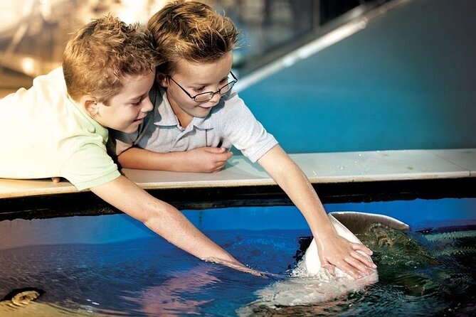 The Florida Aquarium in Tampa General Admission - Finish with the Coral Reef Gallery