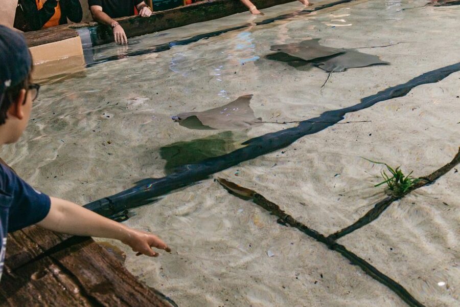 The Florida Aquarium Ticket - Three touch pools make the visit hands-on