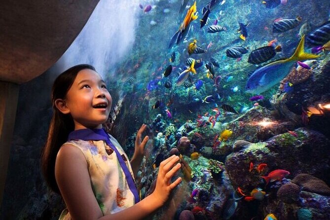 The Lost Chambers Aquarium - Why the behind-the-scenes tour may be worth adding