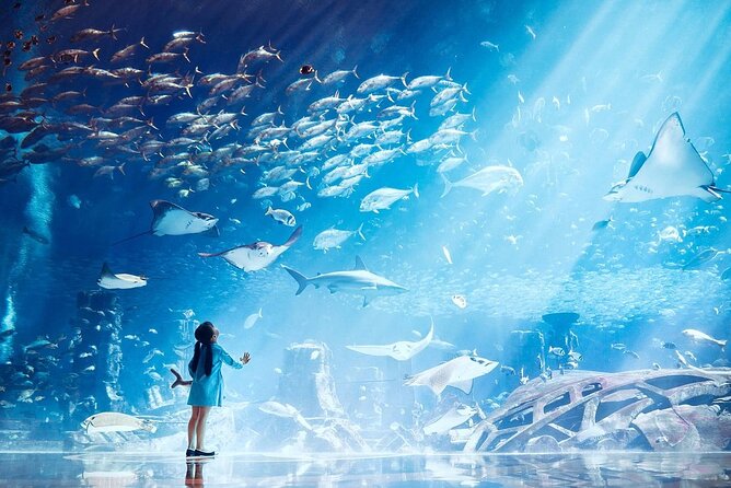 The Lost Chambers Aquarium - Is the $34 ticket good value?
