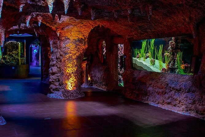 The National Aquarium Abu Dhabi Admission Tickets - The 10 zones and the journey from the Gulf outward