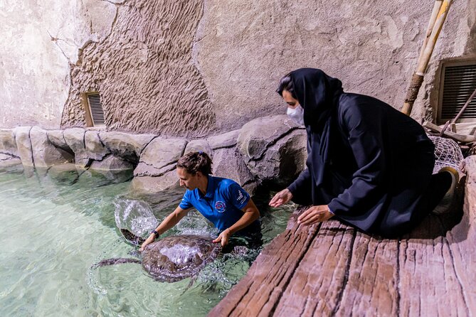 The National Aquarium Abu Dhabi Admission Tickets - Why the aquarium works well for families