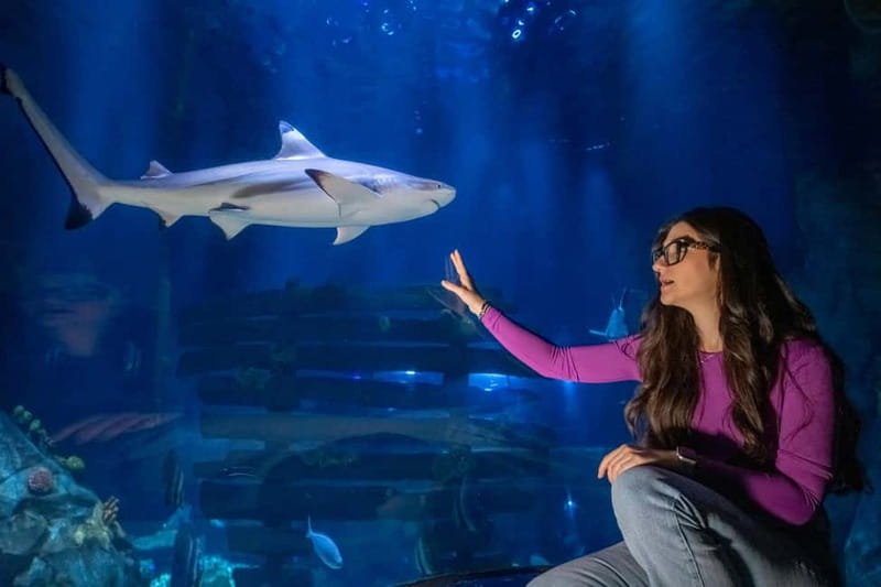 Ticket to SEA LIFE Konstanz - Key points to know before you go