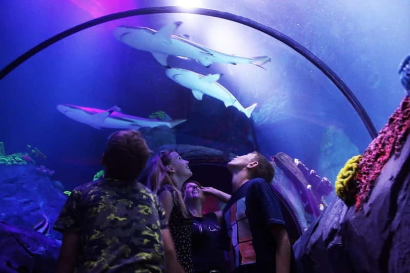 Ticket to SEA LIFE Konstanz - Access, strollers, pets, and the photo add-on