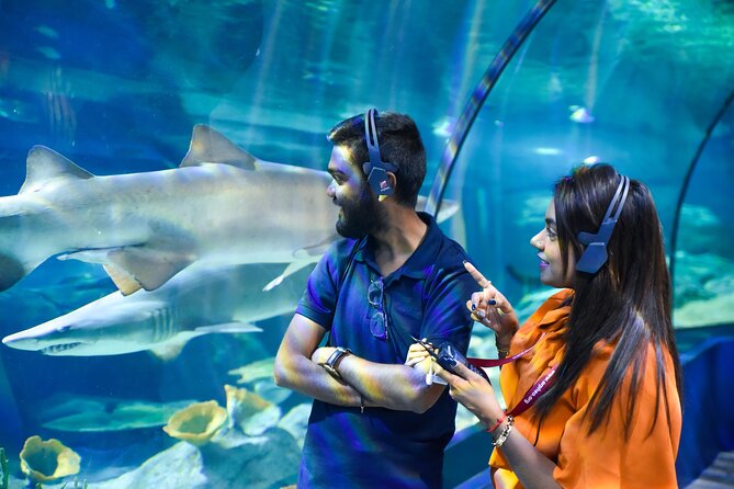 Ticket to the largest Oceanarium of the Mascarene Islands - What you see inside the 45 habitats